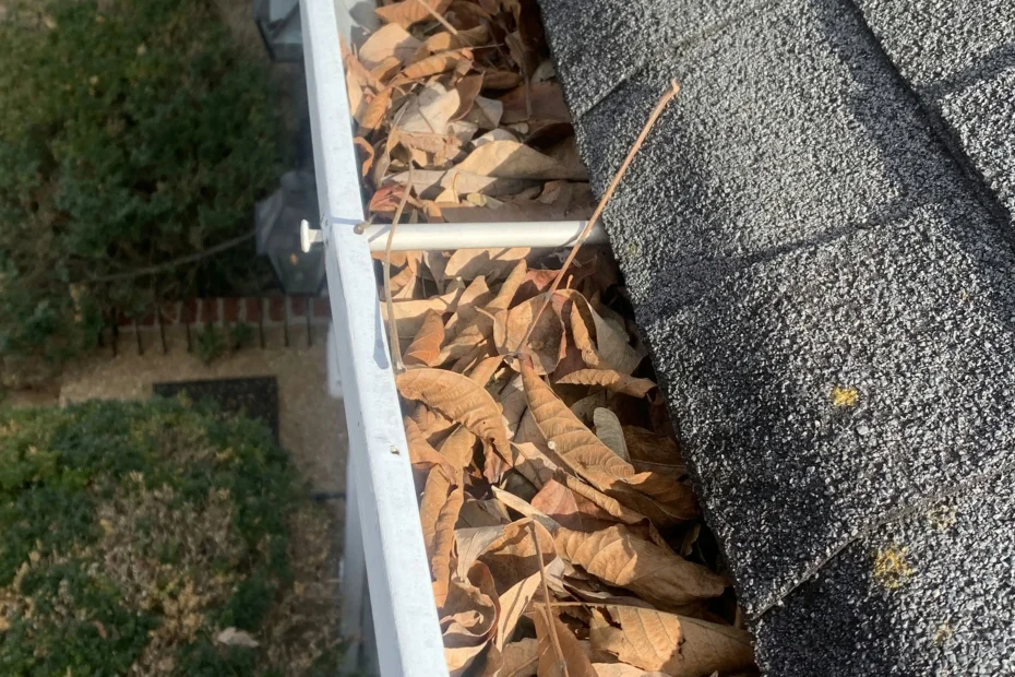 Gutter Cleaning Plant City FL