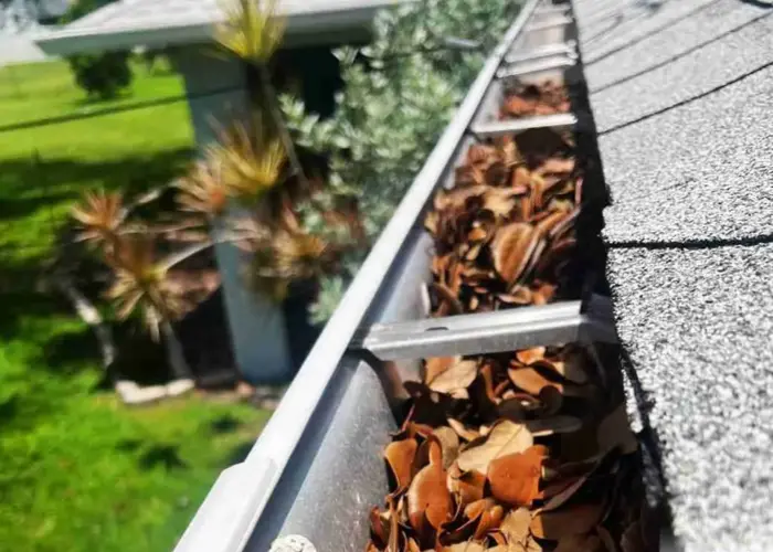 Gutter Cleaning Plant City FL home page